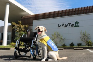 日本介助犬協会×長久手市、ふるさと納税を活用したクラウドファンディングを実施中 画像