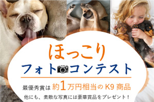 K9ナチュラルジャパン、愛犬・愛猫の“ほっこり写真”を募るフォトコンテストを開催…11月28日まで 画像