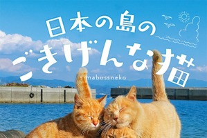 “島猫”たちの写真集『日本の島のごきげんな猫』、エムディエヌコーポレーションより刊行 画像