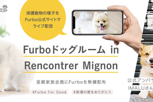 保護犬と愛犬家を繋ぐ「ファーボ ドッグルーム」プロジェクトがスタート…Tomofun 画像