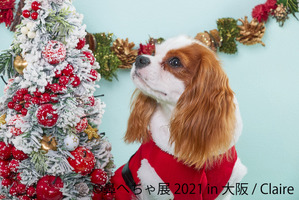 「鼻ぺちゃ展 2021」大阪で開催、クリスマス限定フォトスポットも…12月10日～26日 画像