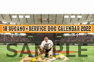 巨人・菅野投手×介助犬、2022年コラボ卓上カレンダー発売…日本介助犬協会 画像