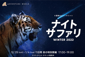 アドベンチャーワールド、「ナイトサファリ WINTER 2022」を開催…12月25日～22年1月4日 画像