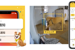 外出先から愛犬の走る・噛む・トイレがわかる、「Furbo ドッグシッター」に新機能…ベータ版公開 画像