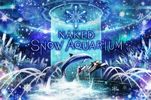 マクセル アクアパーク品川、冬の絶景が織りなす「NAKED SNOW AQUARIUM」を開催…12月29日～22年2月27日 画像