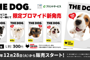 犬の写真を購入して保護活動に参加、「THE DOG ブロマイド」発売…12月28日 画像