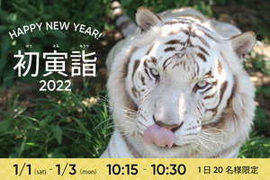 2022年の干支トラを間近で観察できる「初寅詣2022」を開催…YouTubeにてライブ配信 アドベンチャーワールド 画像