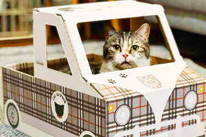 狭い所とダンボールが好きな猫のための「猫トラック」発売 画像