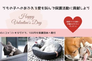 ペット用品店・mof-mof、SNSで「愛を叫んで保護犬を救おう」キャンペーンを実施…2月14日まで 画像