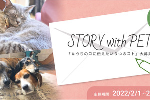 1投稿につき500円を動物関連団体に寄付、ペットとの絆や思いを募集中…「STORY with PET」 画像