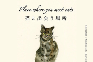 「Place where you meet cats ～猫と出会う場所～」、西武池袋本店にて開催…2月15日～3月1日 画像
