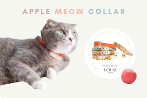 廃棄りんご生まれの“アップルレザー”を用いた猫の首輪、予約販売開始…2月22日 画像