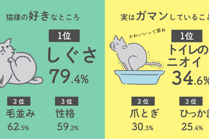 猫との暮らし、3割以上が「トイレの臭いを我慢している」…エステー調べ 画像
