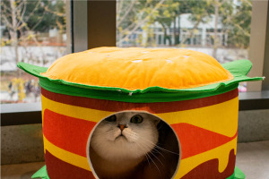ハンバーガー＆ポテトデザインの犬猫用クッションベッド「ファーストフードシリーズ」発売 画像