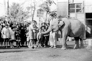 記念企画展「日本の動物園と水族館は東京から始まりました」開催…4月29日～5月8日 画像