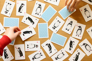 見分けるのは至難の業!? 東武動物公園のペンギンたちを描き起こしたトランプ…フェリシモ 画像