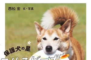 『保護犬の星　フリスビー犬ハカセ』、ハート出版より刊行 画像