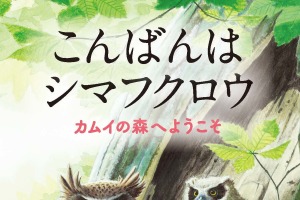 シマフクロウの現状や保護活動を紹介する小冊子をプレゼント…日本野鳥の会 画像