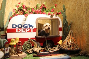 アパレル・グッズに加え、愛犬と泊まれるキャンプ場やホテルも…DOG DEPT【インターペット2022】 画像