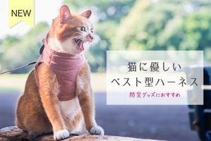 ぽぽねこ、猫の防災グッズ「猫に優しいベスト型ハーネス」を発売 画像
