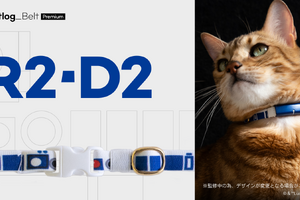 『スター・ウォーズ』デザインのベルトが数量限定で登場…猫用スマート首輪 キャトログ 画像