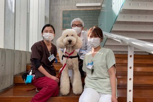 子供の手術にも付き添う犬…動物介在療法に携わる「勤務犬」モリス 画像