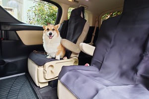 愛犬とお出かけ・ハイヤー送迎サービス開始、1日1組限定…日本交通ハイヤー×inumo芝公園 画像