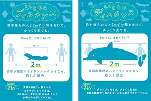 京都水族館、“三密回避”と“衛生管理”対策のため「いきものディスタンス」を実施 画像