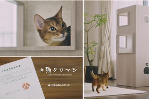 三菱地所レジデンス、猫専用のタワーマンション「#猫タワマン」のWEB動画を公開 画像