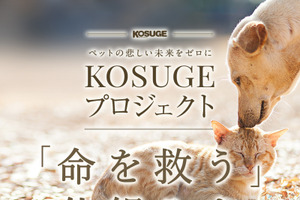 パワープランニング、動物愛護団体への寄付支援「KOSUGE基金」の目標金額を1000万円 に設定 画像