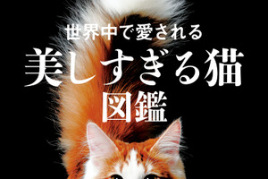 大和書房、「世界中で愛される美しすぎる猫図鑑」を刊行 画像