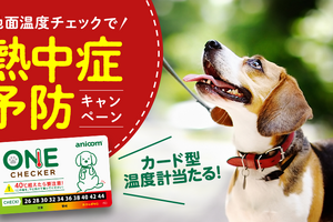 アニコム損保、犬の熱中症予防を目的として地面の温度計を抽選でプレゼントすると発表 画像