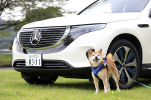 メルセデス・ベンツ EQC は乗れば乗るほど気持ちが豊かになっていくEV…愛犬も安心できる快適性 画像