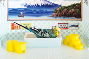 フェリシモ、小鳥用の銭湯「バード銭湯」のWEB予約販売を開始 画像