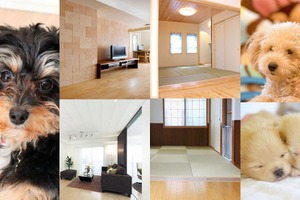 愛犬との豊かな生活を提案するモデルハウス「愛犬家住宅」が千葉県白井市にオープン 画像