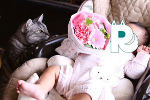 【赤ちゃんと猫 vol.6】ゆれるしっぽが魅力的！　娘、初めての猫タッチ 画像