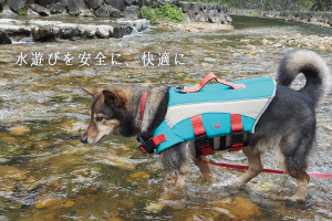 ゼフィール、「愛犬用ライフジャケット」を発売…レジャーや川遊び、万が一の備えに 画像