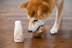 イリオスマイル、愛犬と一緒に飲めるノンアルコール甘酒「おはな‐ohana-」の販売を開始 画像