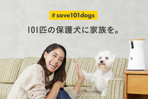 Tomofun、Furboの保護犬支援プロジェクト「#save101dogs」を 始動…アンバサダーに森泉さん 画像