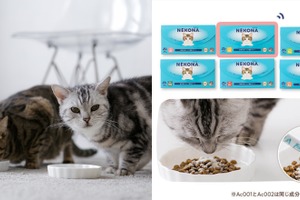 フェリシモ、猫用パーソナルサプリメント「NEKONA」を発売…売上の一部は保護活動に活用 画像