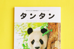 フェリシモ、写真集「神戸市立王子動物園のシャイなパンダ タンタン」を刊行 画像