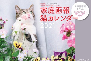 世界文化社、「家庭画報 猫カレンダー2021」を発売 画像