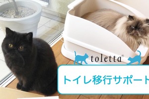 トレッタキャッツ、toletta利用全猫対象に「トイレ移行サポート」をスタート 画像