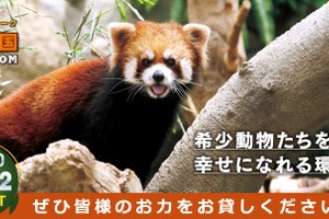 神戸どうぶつ王国、クラウドファンディングで「花と動物と人との懸け橋プロジェクト」を開始…12月11日まで 画像