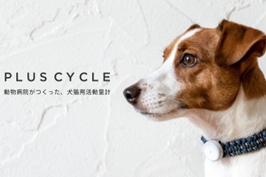 犬猫用活動量計「プラスサイクル」がリニューアル…日本動物高度医療センター 画像