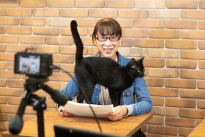 ネスレ、保護猫オンライン譲渡会を開催…11月8日13時～16時、名古屋から配信 画像
