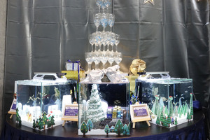 アクア・トト ぎふ、クリスマスをテーマとした3つの水槽を展示…12月27日まで 画像