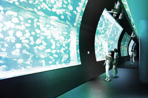 アクアワールド茨城県大洗水族館に約1万体のミズクラゲを展示する「クラゲ大水槽」が新登場…12月18日18時より 画像