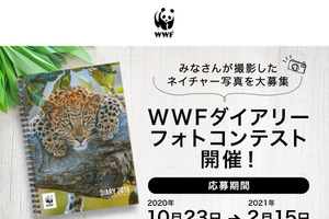 「第一回WWFダイアリーフォトコンテスト」開催…写真家・岩合光昭氏が特別審査員に就任 画像