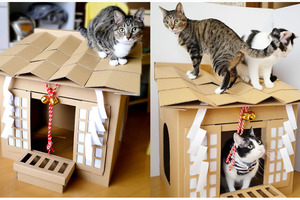 ダンボールハウス「ネコ神社ハウス」がクラウドファンディング開催中…収益の一部は保護猫活動の支援金へ 画像